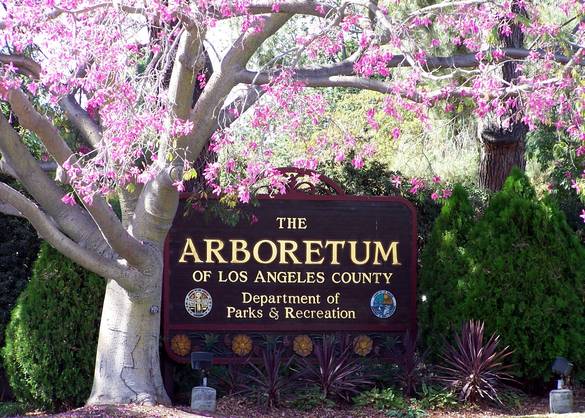 The Arboretum of Los Angeles county board