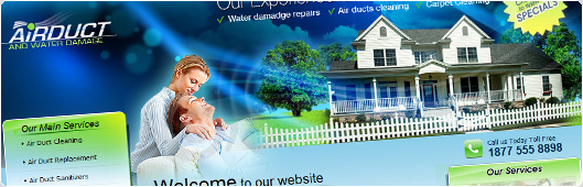 Web Site Design Example with Flash for airduct and carpet cleaning companies small