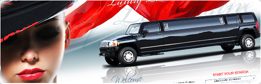 Limousine Website Design Example with Flash small